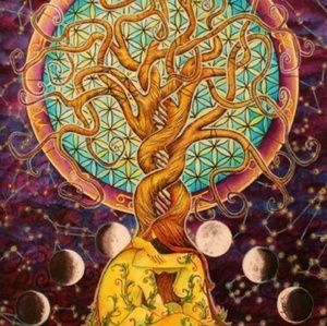 Meet your Posher, Alaina